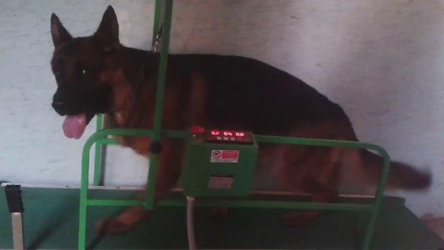 Uran von der Wolfstratte смотреть онлайн