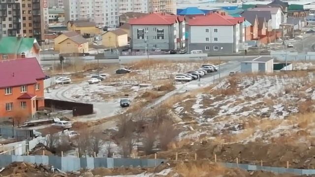 Дог-опекунши Ирина и Мицуба - кормежка бродячих собак - 2019-03-06 - 10:30 смотреть онлайн