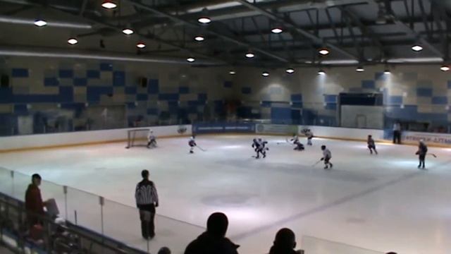 АВАНГАРД2010 СИБИРЬ ЛАНГЕПАС