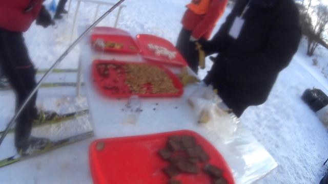 Московский Лыжный Марафон / мастер RussiaLoppet за один сезон