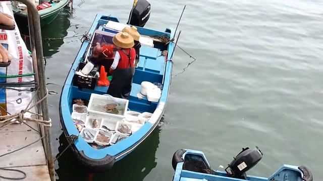 Sai Kung, Hong Kong (Seafood Market) - 03 смотреть онлайн