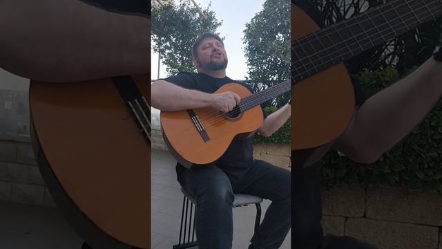 Юрий Липманович исполняет свою песню "собака любви точка нет". смотреть онлайн