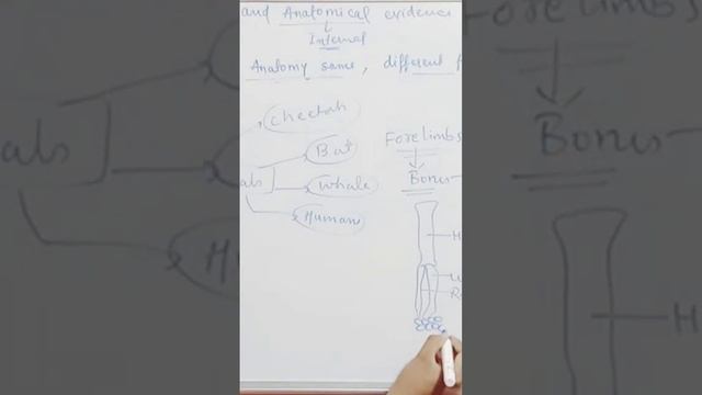 Evolution:-Homologous organs #boardexam #neet #riturattewal #garimagoelbiology #sandeepmaheshwari смотреть онлайн