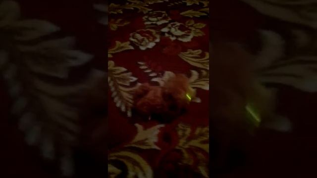 Купил на Алике, страшная Китайская игрушка!)) смотреть онлайн