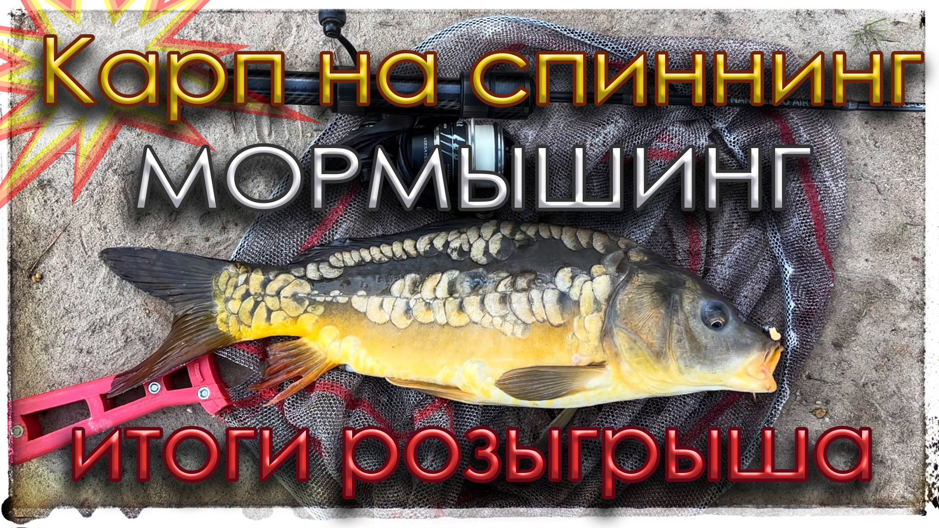 Карп на спиннинг. Мормышинг. Итоги розыгрыша спиннинга. смотреть онлайн