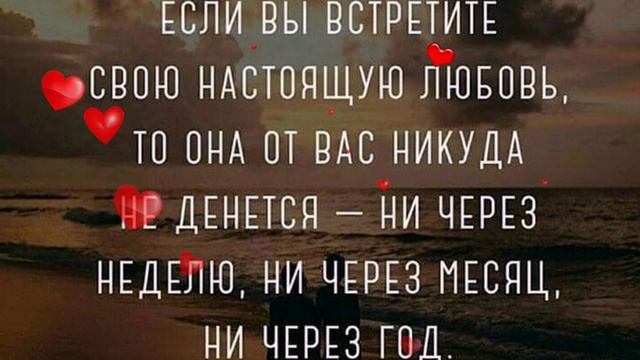😻котенок😻.mp4 смотреть онлайн