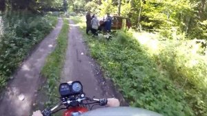 В ЛЕС ПО ГРИБЫ С ТАЛИБАНОМ