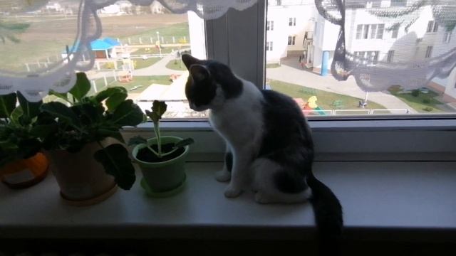 Готовлю смесь моих супер приправ!!! Моя прогулка. Посещение церкви орхангела Михаила, купель.