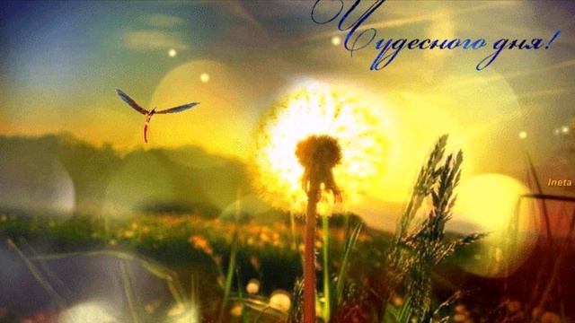 ☀️с добрым утром☀️.mp4 смотреть онлайн
