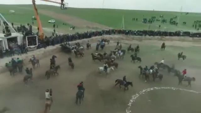 ALISHER POLVON SIRDARYO OYNAZAVOD RAXBARI BAXODIR AKANI MASHXUR MUSTANG NOMLI OTLARI BILAN TASHLADI