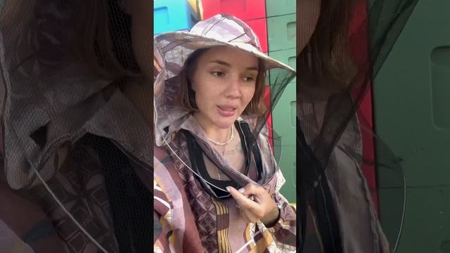Опухаю от пчел😱 #viral #пчеловодство #пасека #аллергия #пчелы смотреть онлайн