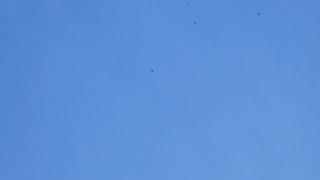 Спокойствие только спокойствие смотреть онлайн