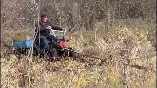 Скоро новые соревнования смотреть онлайн