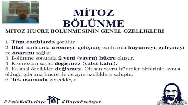 23. Mitoz Bölünme - 7. Sınıf смотреть онлайн