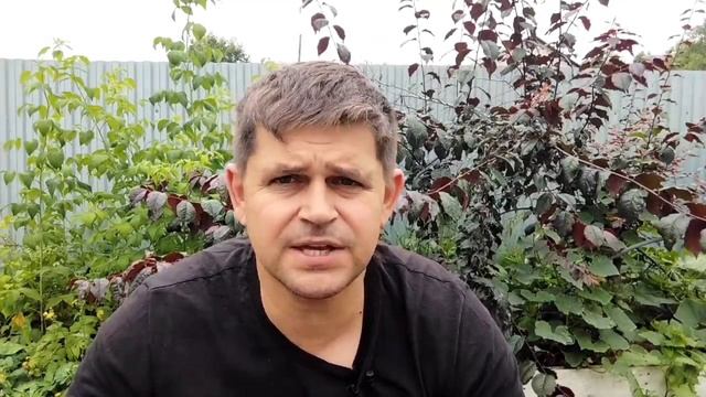 БАТЯДЕД - НЕ ТРАТЬТЕ ВРЕМЯ НА ПУСТЫХ ЛЮДЕЙ смотреть онлайн