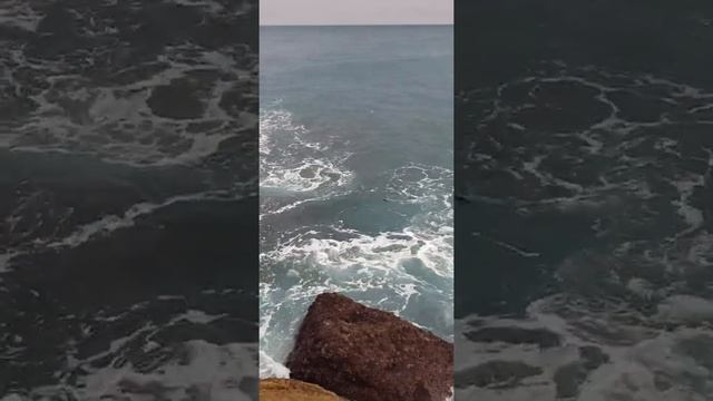 Bonito   Lure  Max Rap