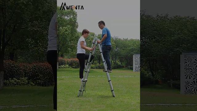 Échelle Télescopique 5M смотреть онлайн