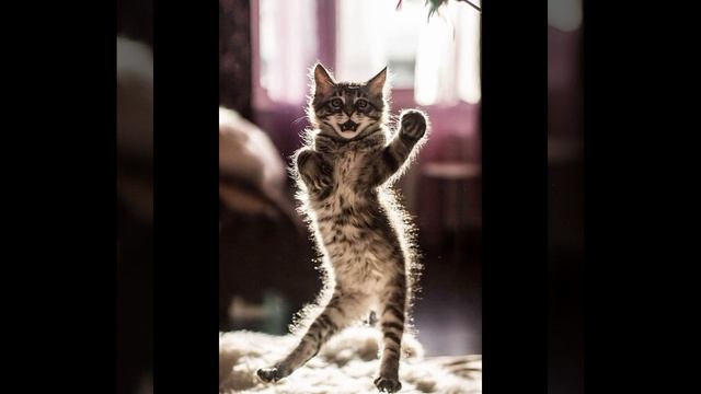 Нет названия ¹²³⁴⁵⁶⁷⁸⁹¹⁰