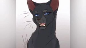 Коты воители -всех целители грозового племени!!!!!!