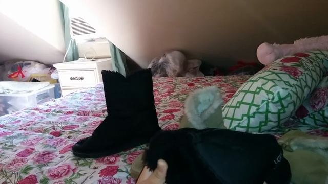 UGG REVIEW PARADY смотреть онлайн