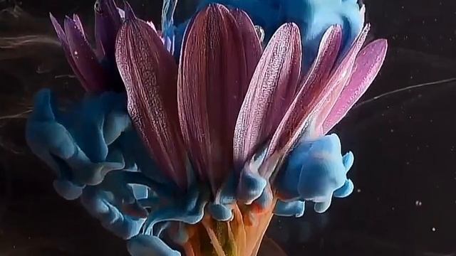 Sticky videos смотреть онлайн