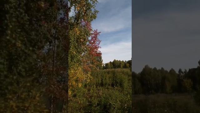 Осенние краски. 20 сентября смотреть онлайн