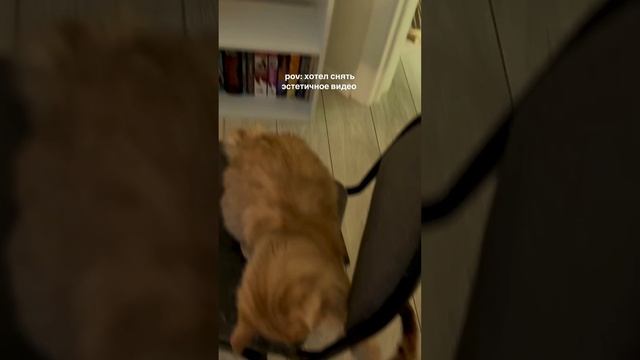 Ну мои 😂 смотреть онлайн