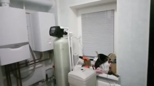 Умягчитель и обезжелезиватель воды в одном баллоне