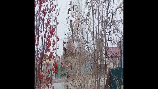 24-12-2024 смотреть онлайн