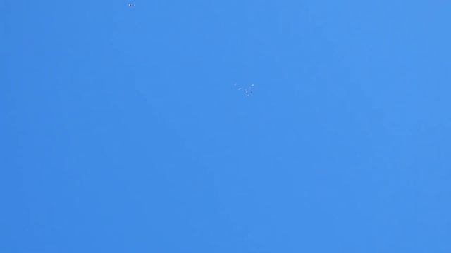 Голуби, что лучше Зима или Лето... смотреть онлайн