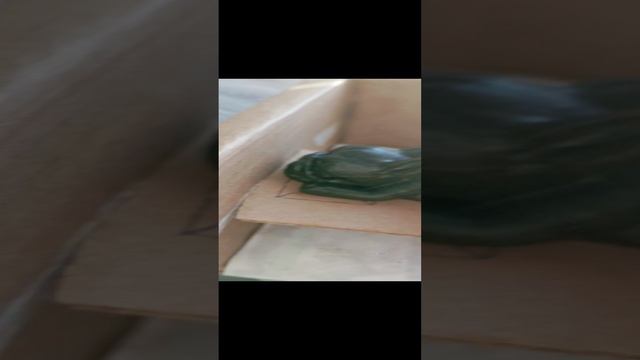 1000002371.mp4 смотреть онлайн