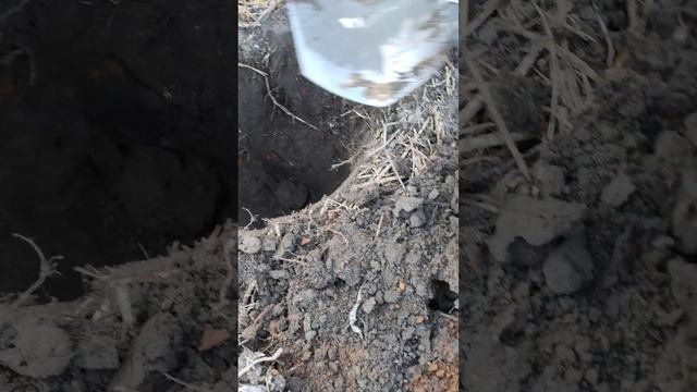 Древнее поселение!