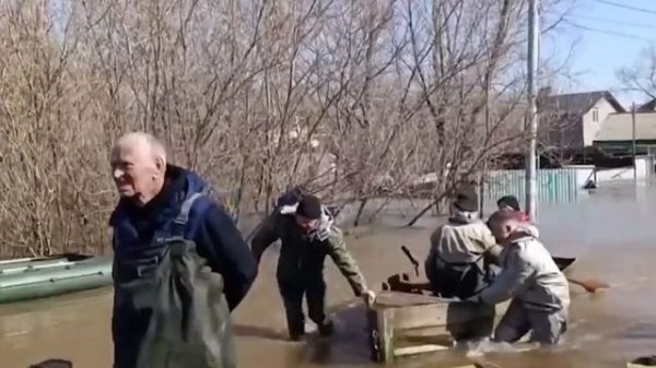 Песня про бобров