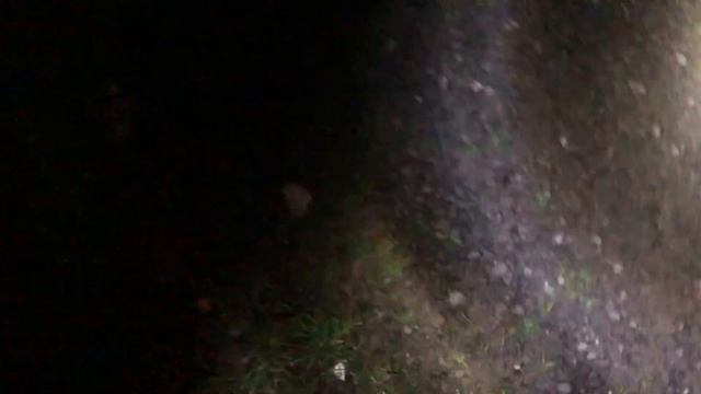 Walther GL1500 Rechargeable Torch night test смотреть онлайн