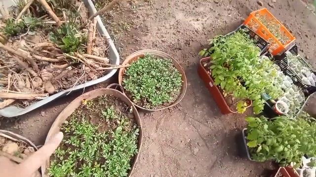 Ура скоро лето смотреть онлайн