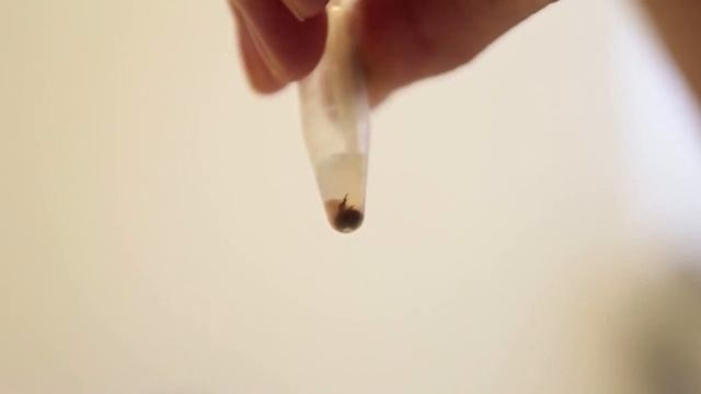 Знания о жизни