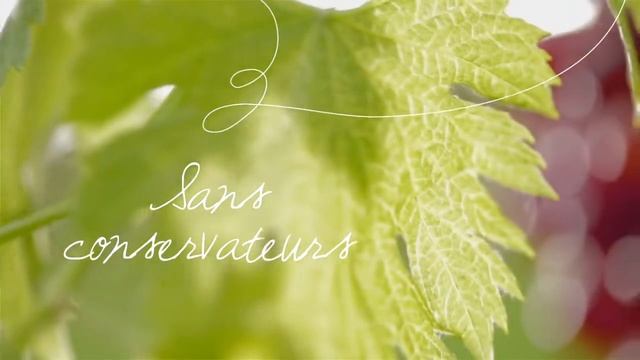 L'Eau de Raisin Caudalie смотреть онлайн