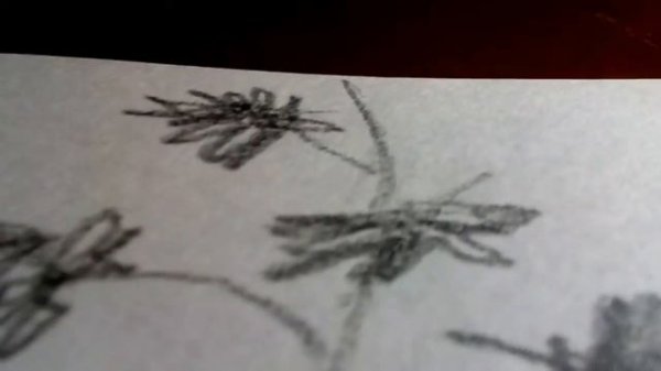 Кино (Виктор Цой) Алюминиевые огурцы/пандейру/перепевка/cover/