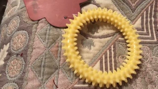 У МЕНЯ ПОЯВИЛАСЬ СОБАКА смотреть онлайн