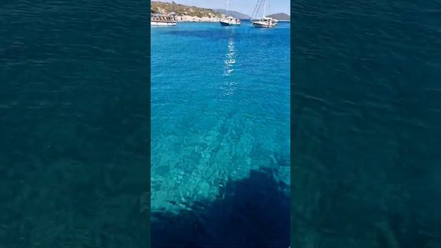 Очень прозрачная вода смотреть онлайн