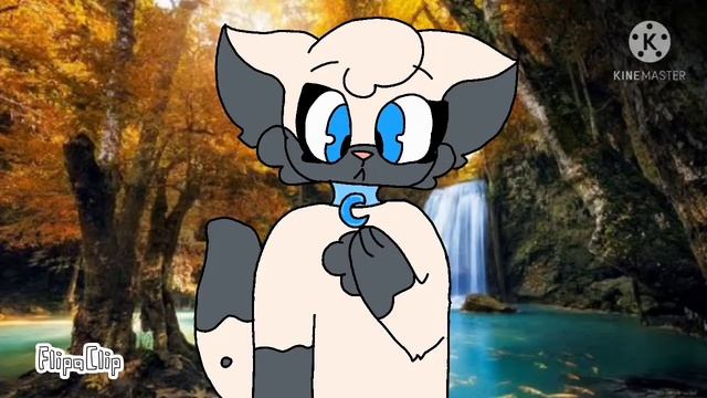 •Identities meme•// Super cat tales 2 // SCT2 // La_miaus_UwU смотреть онлайн