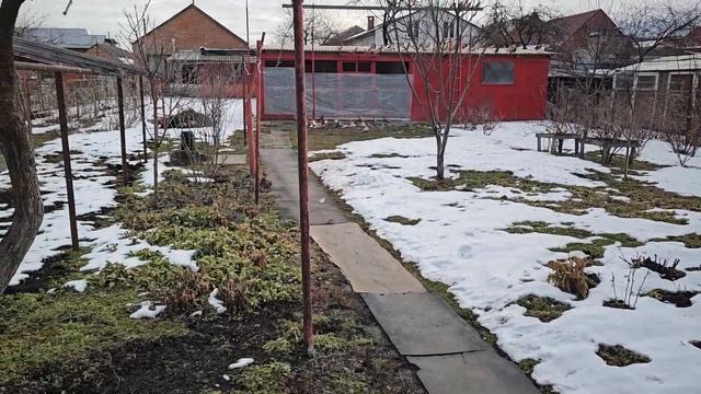 Голубям пора в командировку смотреть онлайн