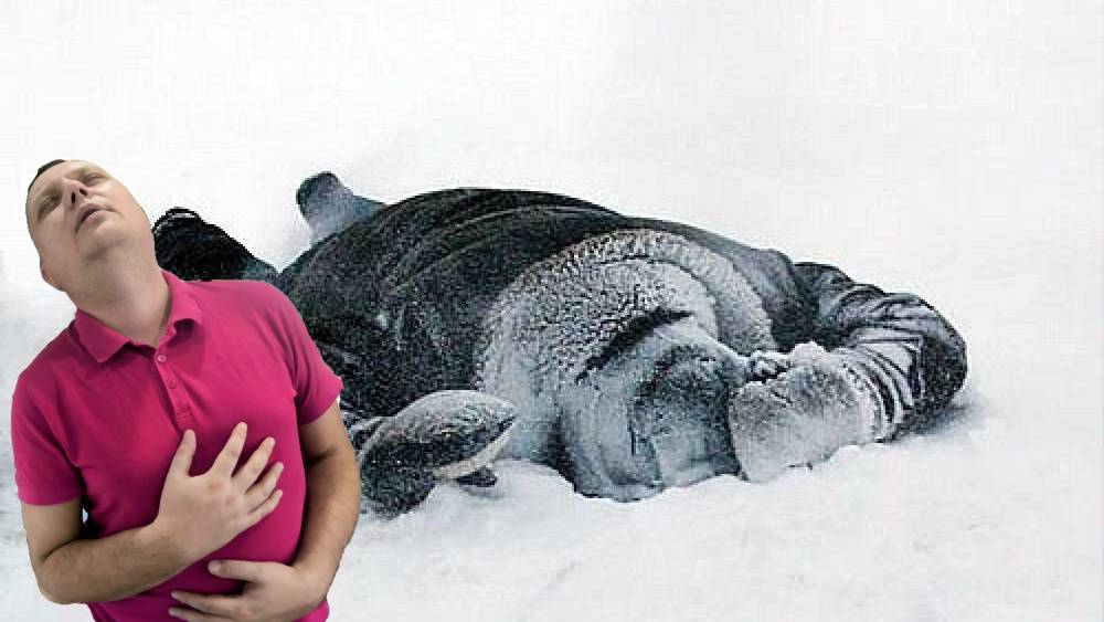 Ужасы похмелья: Предновогодняя эпилепсия смотреть онлайн