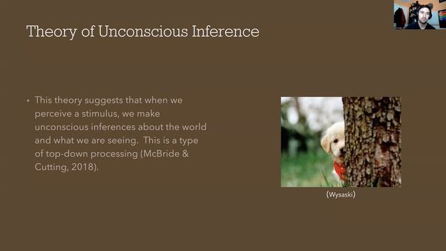 Visual Perception Presentation - Module 3 Assignment смотреть онлайн
