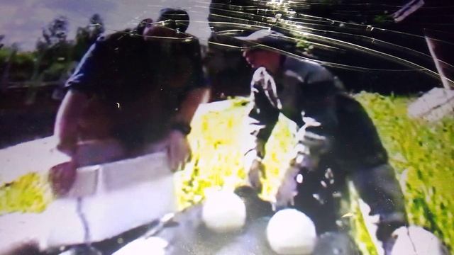 Африканские львицы Рада и Людмила в зоопарке Ижевска. Реакция на крупное страусиное яйцо.