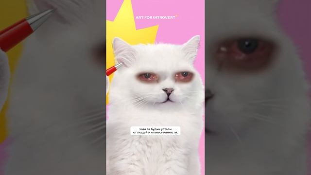 Забирай промокод REELS30 и переходи по ссылке в описании профиля, чтобы правильно отдохнуть смотреть онлайн