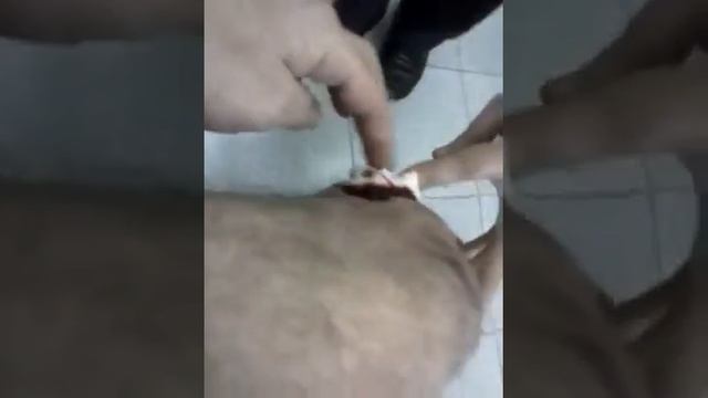 Чудо врачи смотреть онлайн