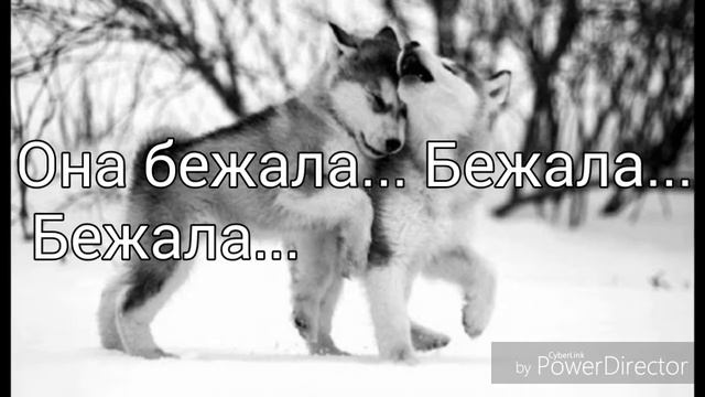 Грустная история одной собаки.... смотреть онлайн