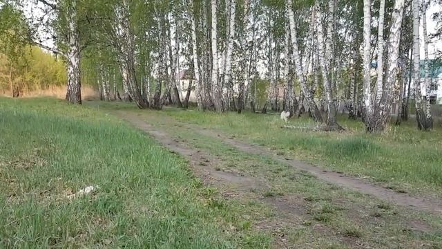 Утро Иделии смотреть онлайн