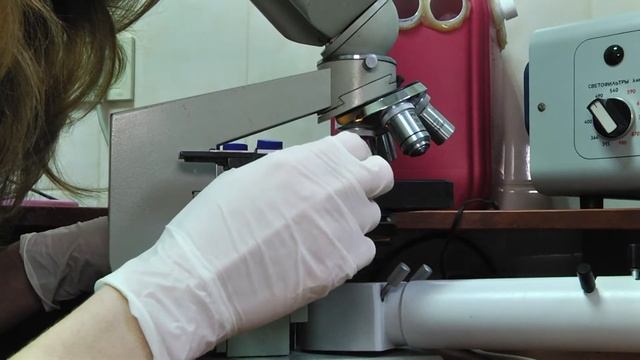 пироплазмоз смотреть онлайн